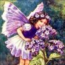 Hippy Flower Fairy
