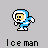 ice-9