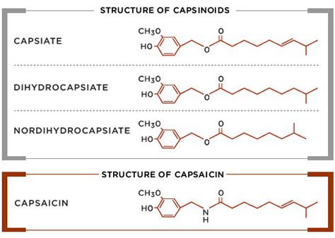 Capsinoids_structure.png
