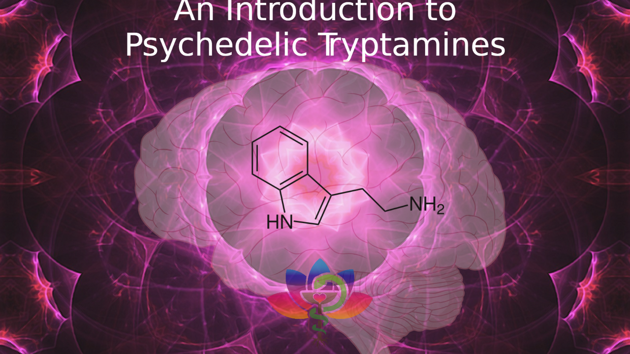 oNXqyUVtRfmShIQtOtoO_Intro_to_Psychedelic_Tryptamines.png