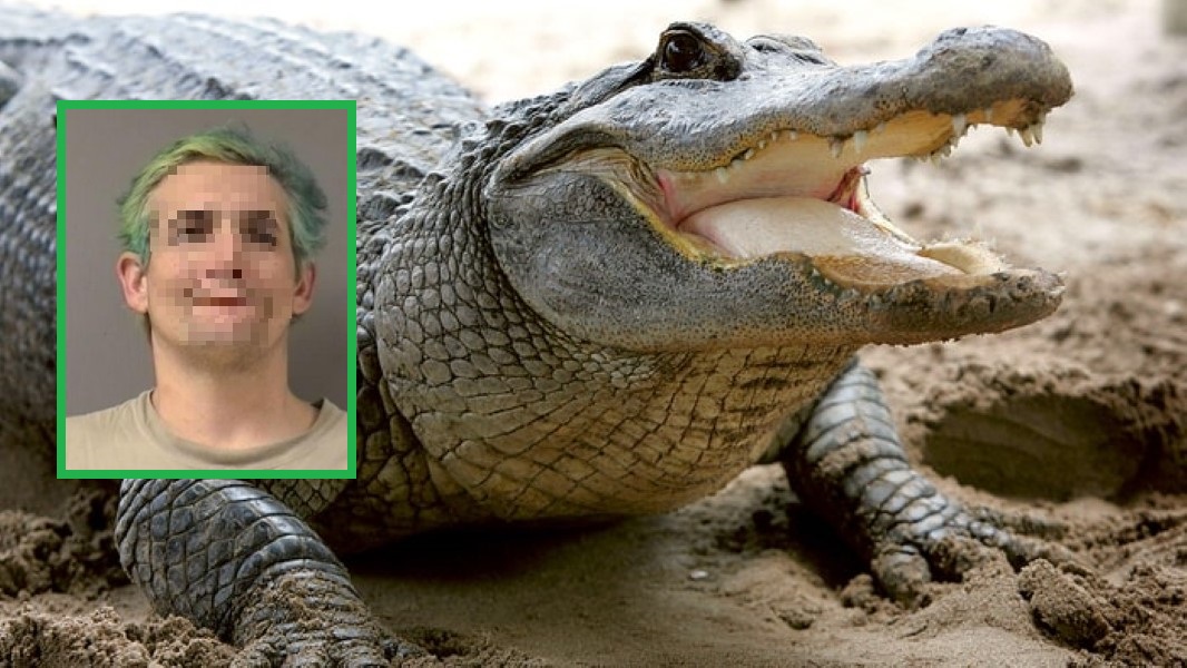 Meth-Man-Florida-Alligator.jpg