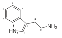 200px-Tryptamine_structure.svg.png