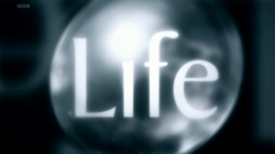 250px-BBC_Life_title_card.png