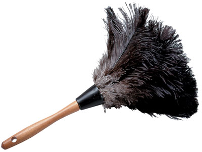 Feather-Duster.jpg