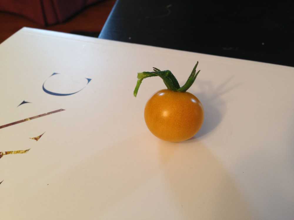 first+tomato+eaten+06.10.14.png