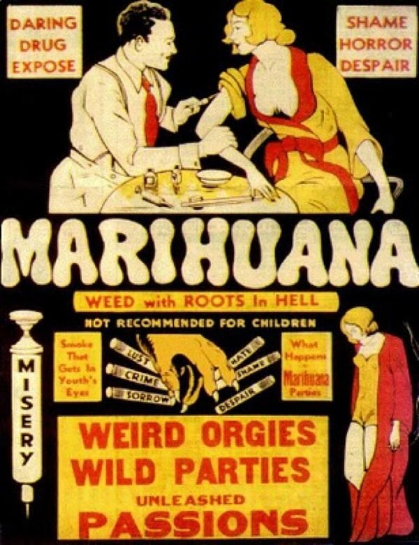 marijuana-propaganda-weird-orgies.jpg