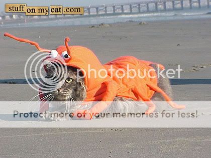lobstar.jpg