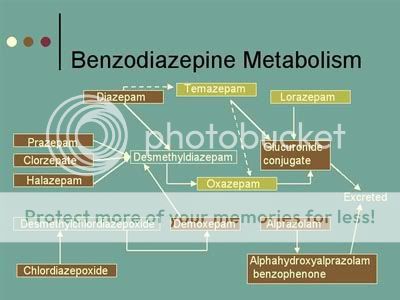 benzojen_metabolisointi2.jpg