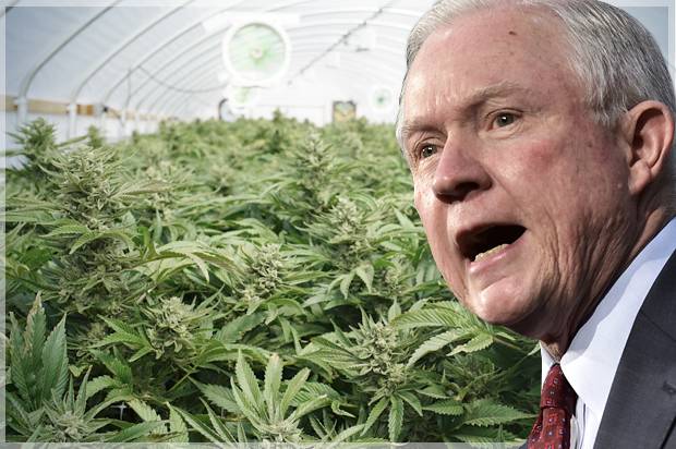 jeff_sessions_weed-620x412.jpg