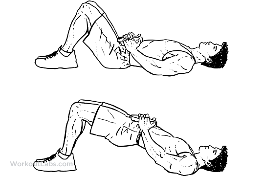 Weighted_Glute_Bridge.png