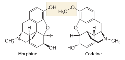 codeine-and-morphine.gif