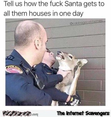 39-cops-arresting-a-deer-funny-Christmas-meme.jpg