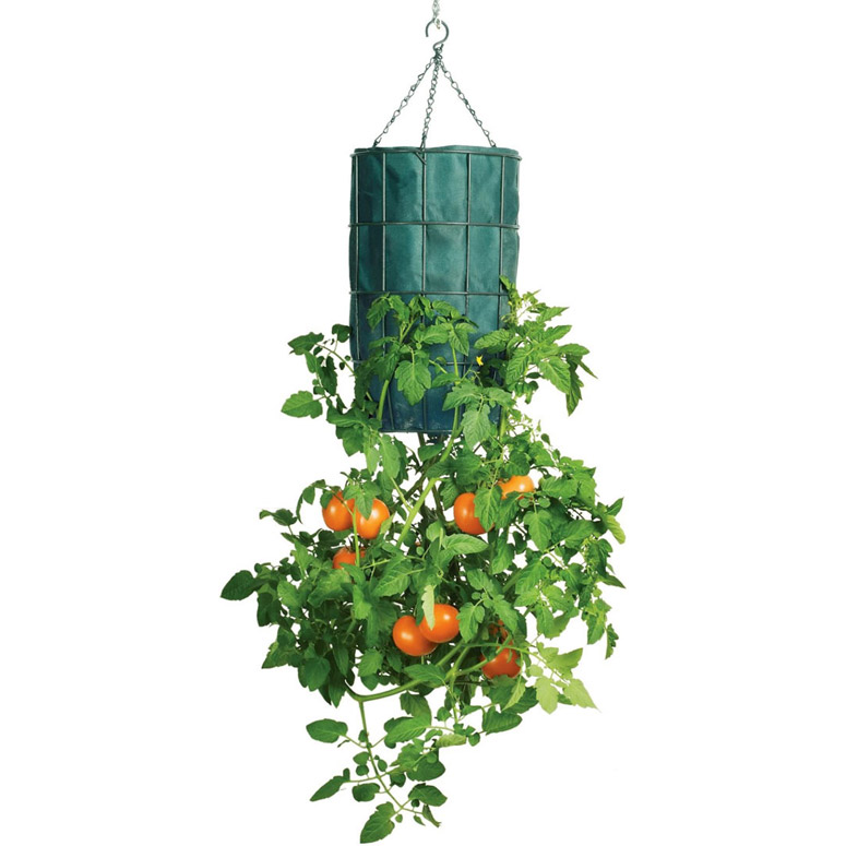 gardeners-revolution-upside-down-tomato-planter-xl.jpg