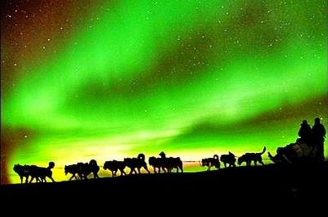 northern-lights-viewing-including-dinner-and-1-hour-dog-sledding-in-fairbanks-219166.jpg