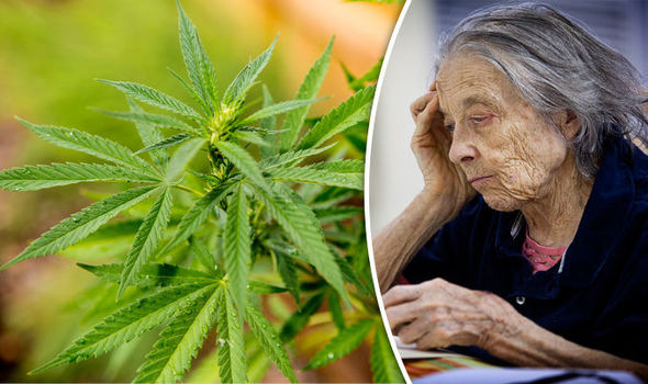 Compounds-in-cannabis-could-be-used-to-treat-Alzheimer-s-685214.jpg