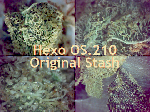 Hexo-OS-210-Original-Stash-Hybrid-Flower-Blend-480x360.png