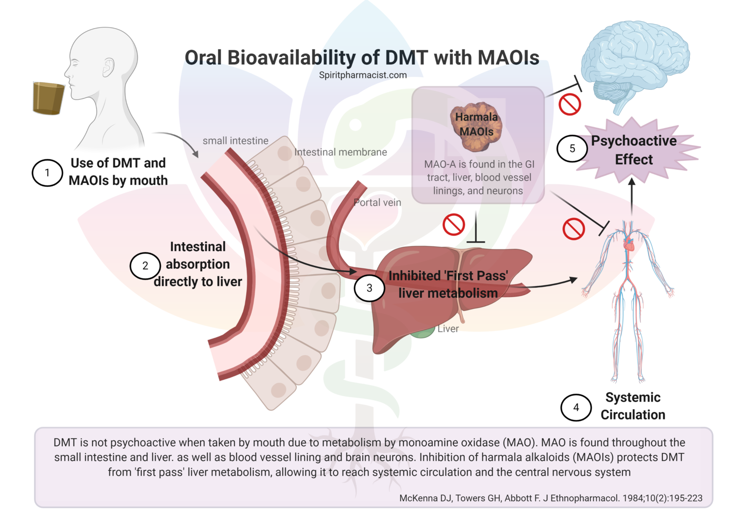 DMT_5-MeO-DMT+oral+bioavailability+MAOIs.png