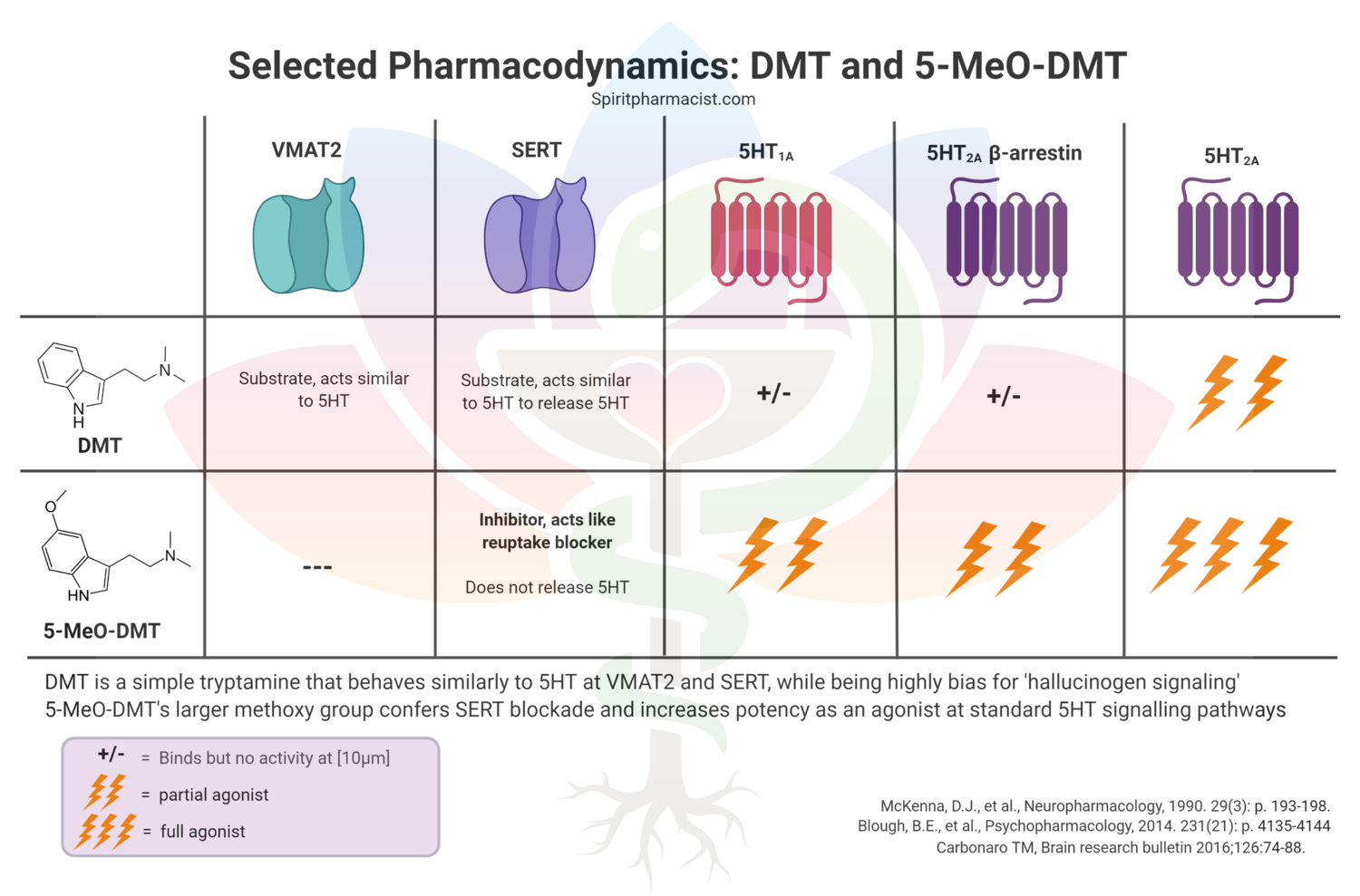 Pharmacodynamics+DMT+and+5-MeO-DMT.png