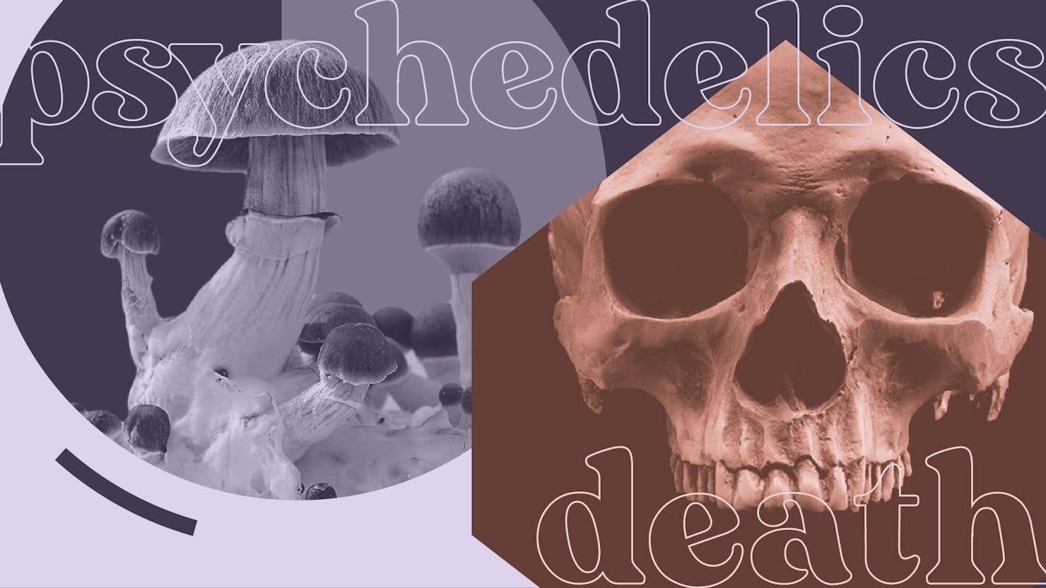 Psychedelics-and-death-featured-image.jpg