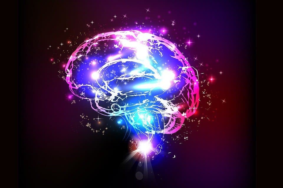 neurosciencenews.com