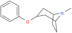 3-(phenoxy)-8-methyl-8-azabicyclo%5b3.2.1%5doctane.png