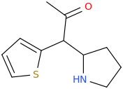 3-(thiophen-2-yl)-3-(2-pyrrolidinyl)-acetone.png