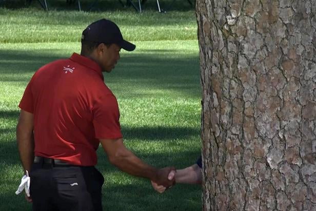 tiger-woods-and-tree-congratulate-each-other-on-long-v0-h1r0rfrkaiuc1.jpeg