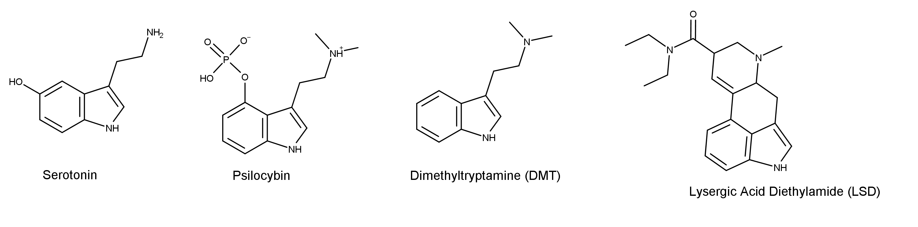 3000-serotonin-psilocybin-DMT-LSD-scaled.png