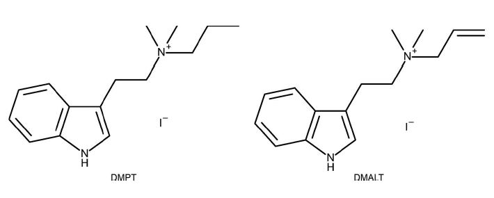 Chadeayne-et-al.-DMPT-and-DMALT-iodide.jpg