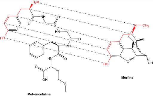 Opioid_receptor_binding_corerelation.jpg