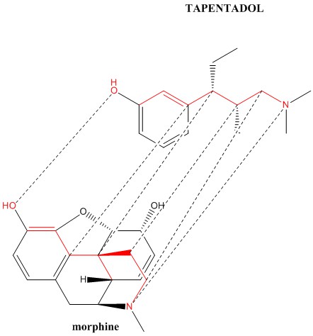Tapentadol-morphine_correlation.jpg