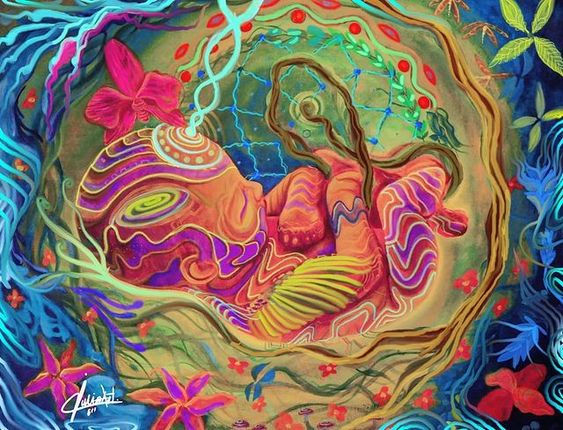 www.womenonpsychedelics.org