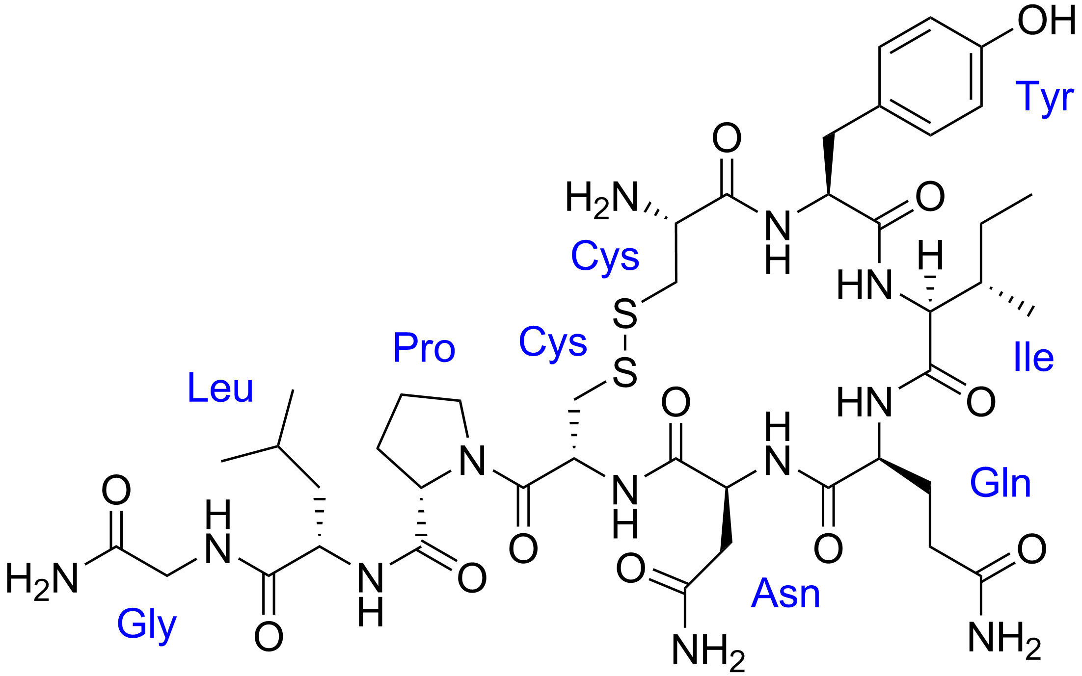 Oxytocin_with_labels.png