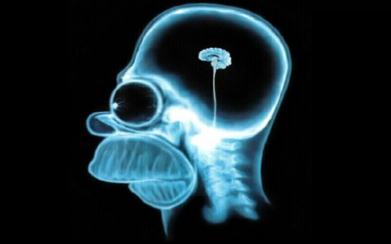 Homer-simpson-brain%2C1280x800%2C18857.jpg