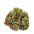 :nug2: