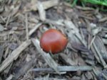 dscn4564.jpg