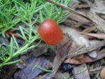 dscn4567.jpg
