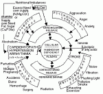 magnesium.gif
