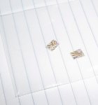 paper.jpg