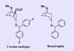 Benztropine analogue.JPG