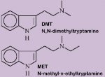 dmt_and_met copy.jpg