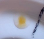 test01.jpg
