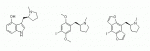 pyrrolidines.gif