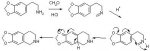 pictet-spengler synthesis.jpg