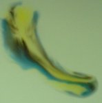 mandelin2.jpg
