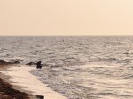 beach a.jpg