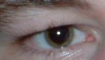 eye.jpg