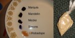 mini-LIGHT_BROWN_MOLLY_RESULTS_FINAL.JPG