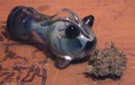 phishbowlnug.jpg