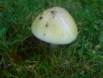 DSC05432.jpg